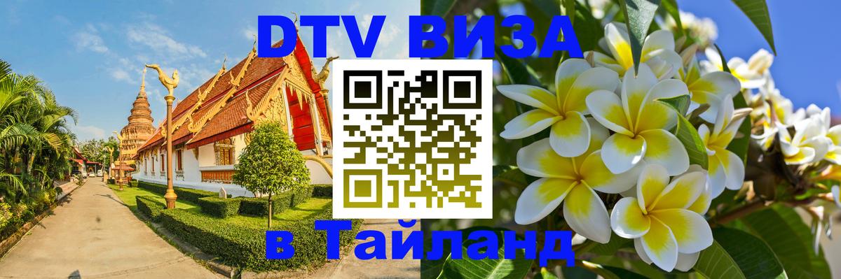 Оформление DTV визы под ключ: стоимость и тарифы, только загранпаспорт - 